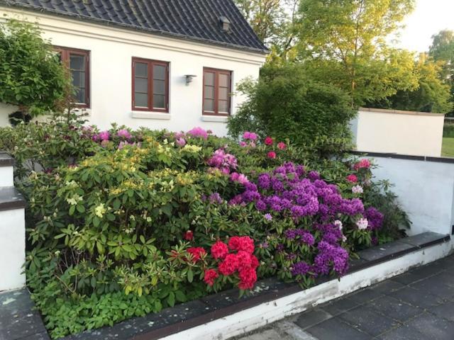 Dreamcenter Ballerup Boulevard 외부 사진