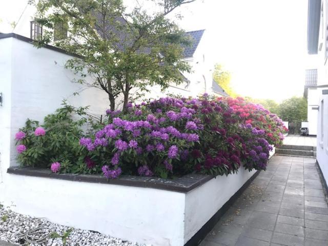 Dreamcenter Ballerup Boulevard 외부 사진